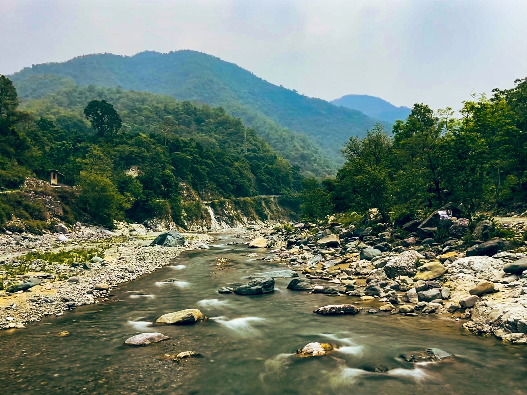 AnyCreator Stream India: The Best Way to Grow Your Audience